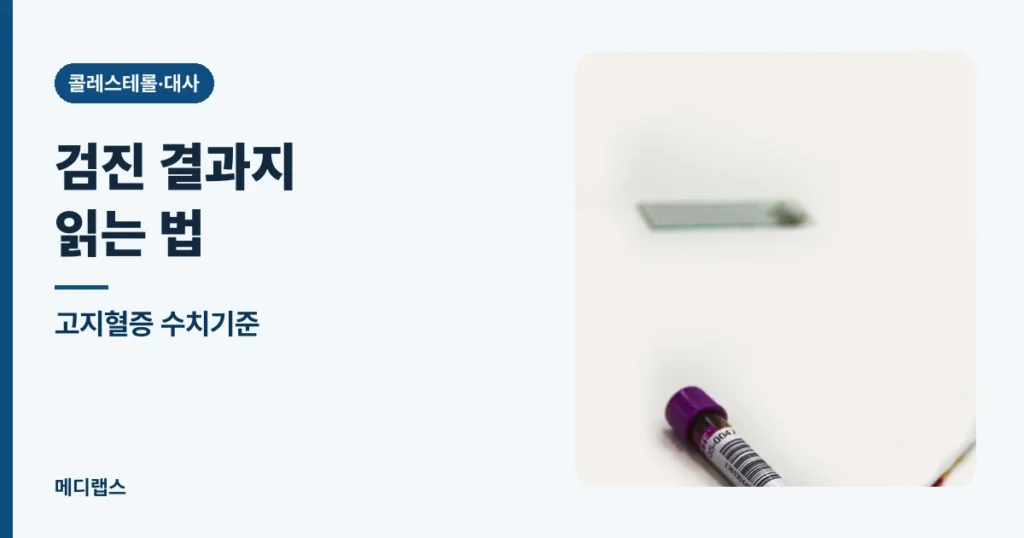 고지혈증 수치기준 — 검진 결과지 읽는 법