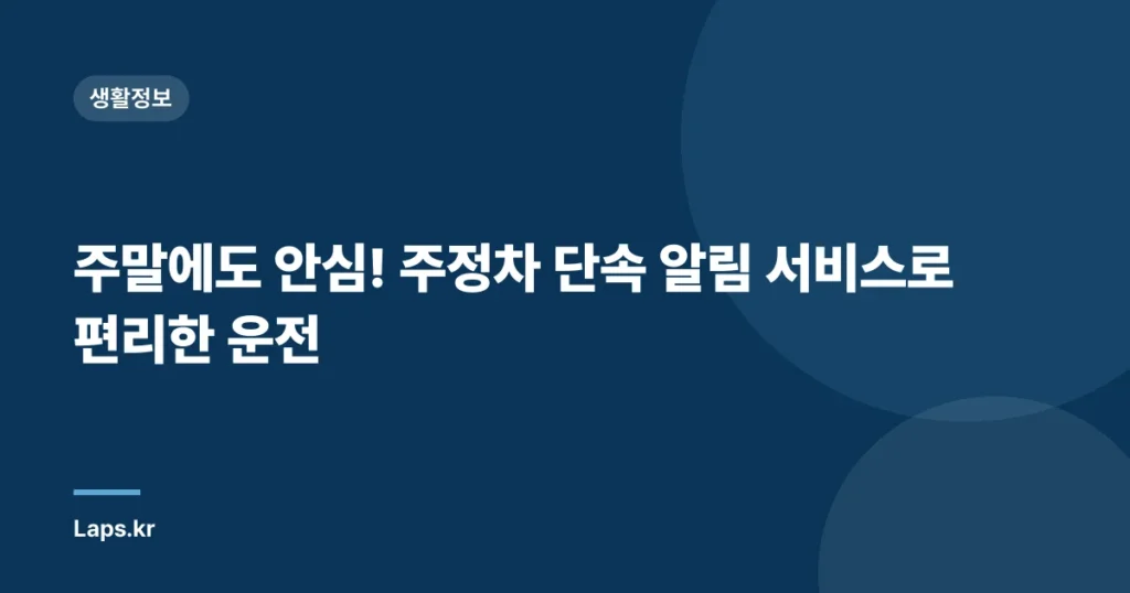 주말에도 안심! 주정차 단속 알림 서비스로 편리한 운전