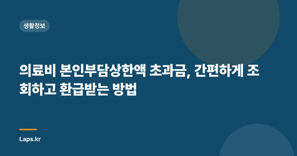의료비 본인부담상한액 초과금, 간편하게 조회하고 환급받는 방법