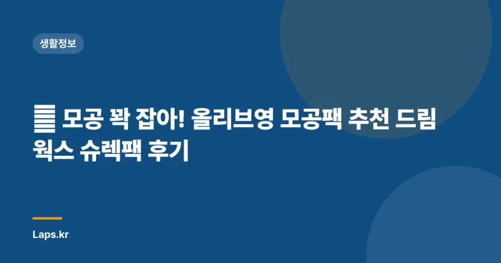 ✨ 모공 꽉 잡아! 올리브영 모공팩 추천 드림웍스 슈렉팩 후기