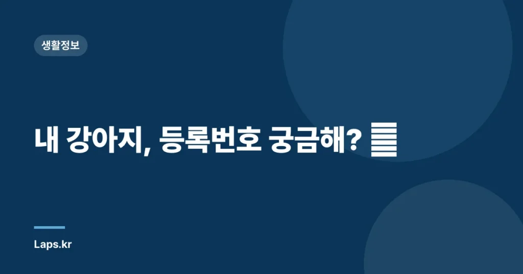 내 강아지, 등록번호 궁금해? 🐶