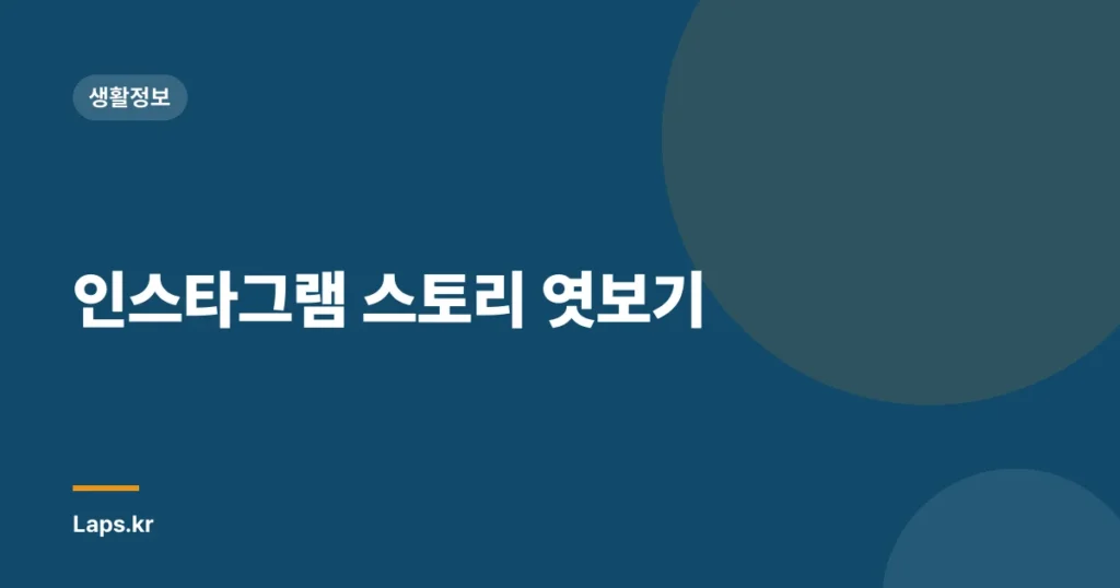 인스타그램 스토리 엿보기