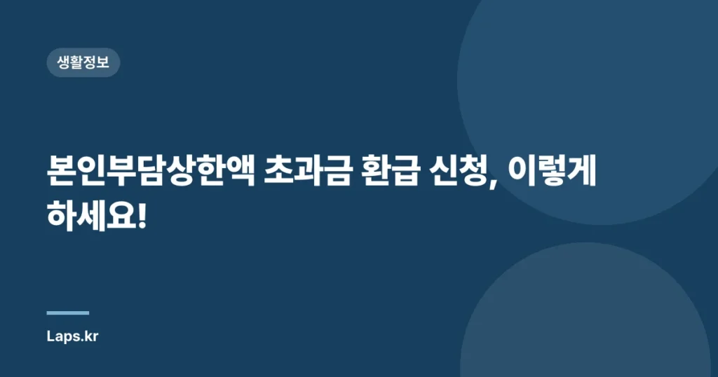 본인부담상한액 초과금 환급 신청, 이렇게 하세요!