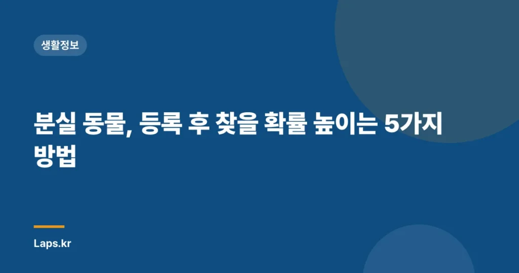 분실 동물, 등록 후 찾을 확률 높이는 5가지 방법