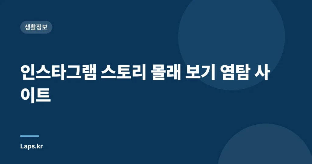 인스타그램 스토리 몰래 보기 염탐 사이트