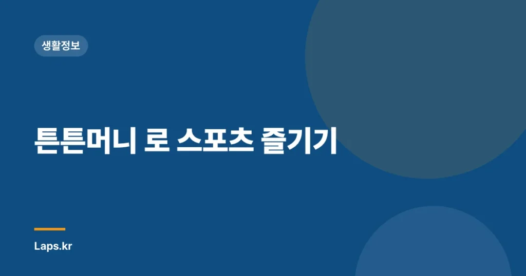 튼튼머니 로 스포츠 즐기기