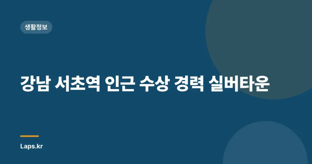 강남 서초역 인근 수상 경력 실버타운