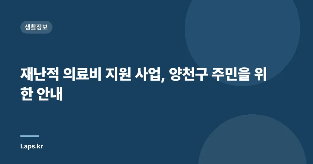 재난적 의료비 지원 사업, 양천구 주민을 위한 안내