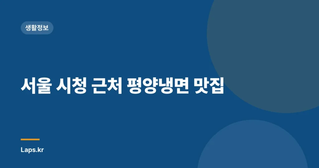 서울 시청 근처 평양냉면 맛집