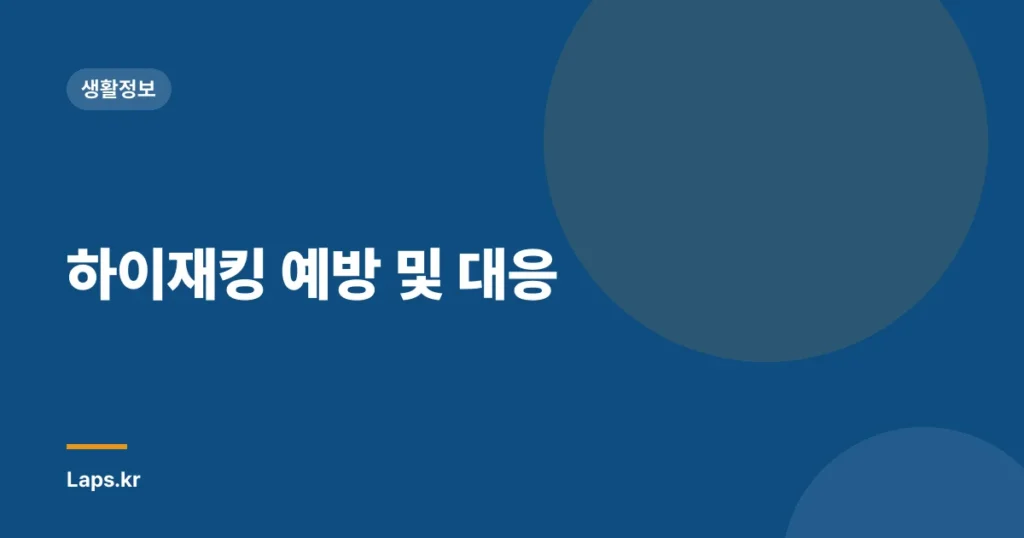 하이재킹 예방 및 대응