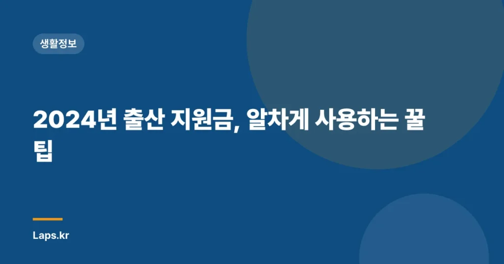 2024년 출산 지원금, 알차게 사용하는 꿀팁