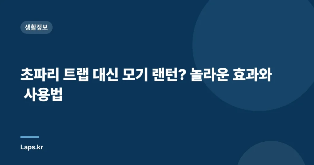 초파리 트랩 대신 모기 랜턴? 놀라운 효과와 사용법