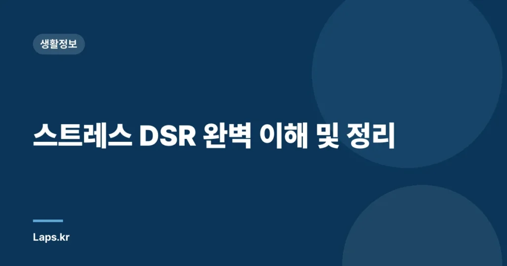 스트레스 DSR 완벽 이해 및 정리