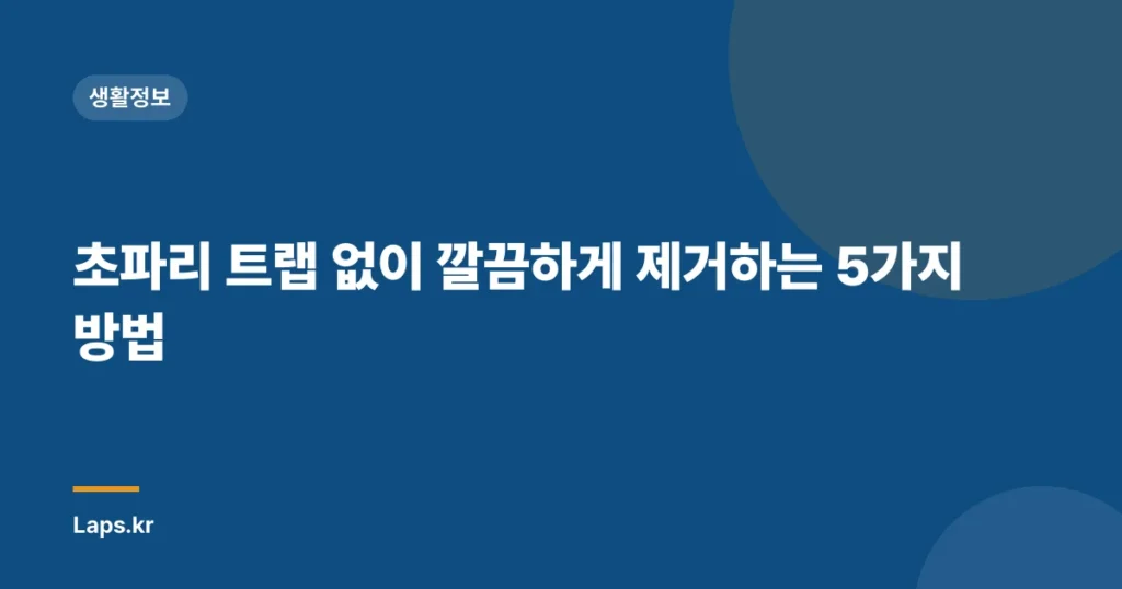 초파리 트랩 없이 깔끔하게 제거하는 5가지 방법
