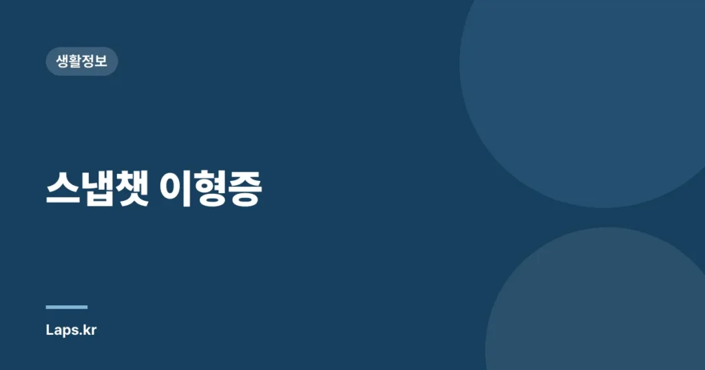 스냅챗 이형증