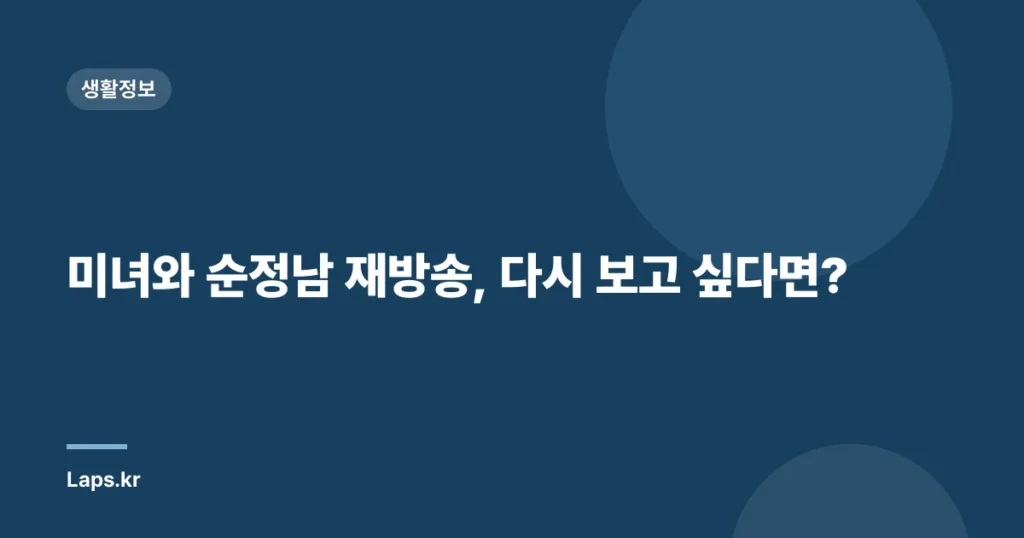 미녀와 순정남 재방송, 다시 보고 싶다면?