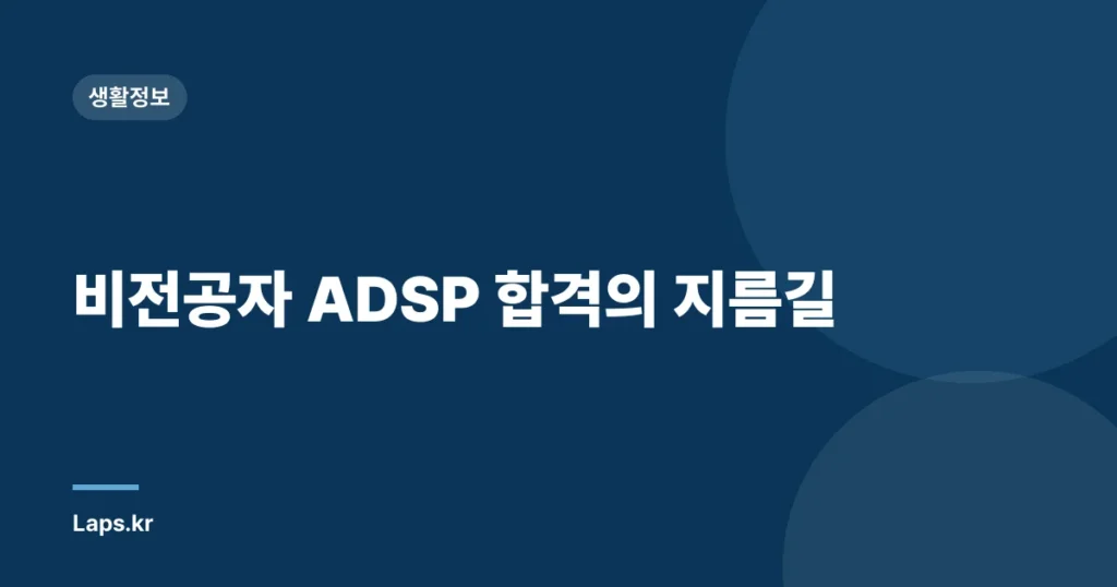 비전공자 ADSP 합격의 지름길