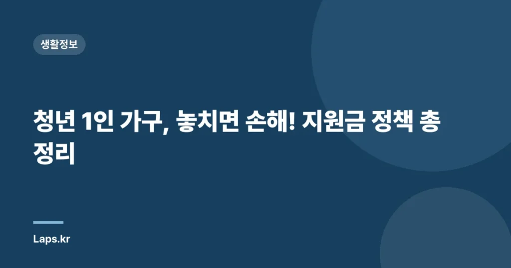 청년 1인 가구, 놓치면 손해! 지원금 정책 총정리