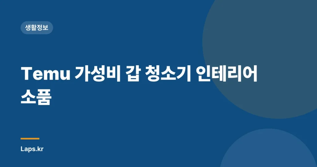 Temu 가성비 갑 청소기 인테리어 소품