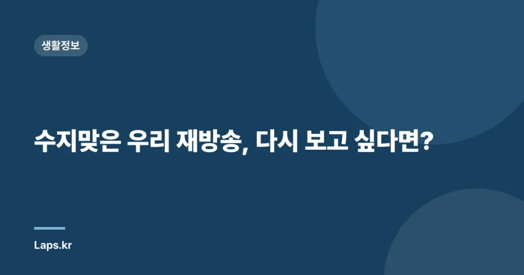 수지맞은 우리 재방송, 다시 보고 싶다면?