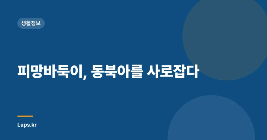피망바둑이, 동북아를 사로잡다