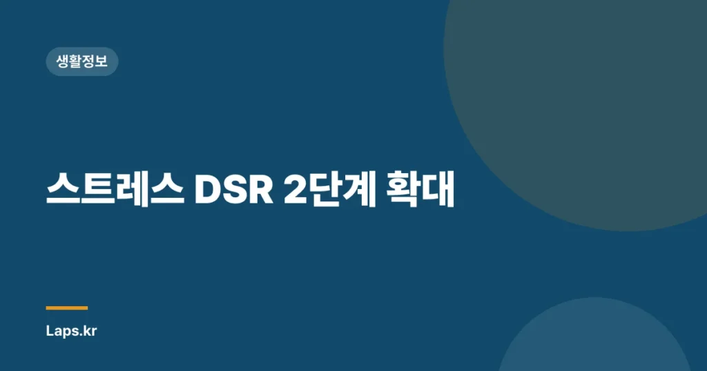 스트레스 DSR 2단계 확대