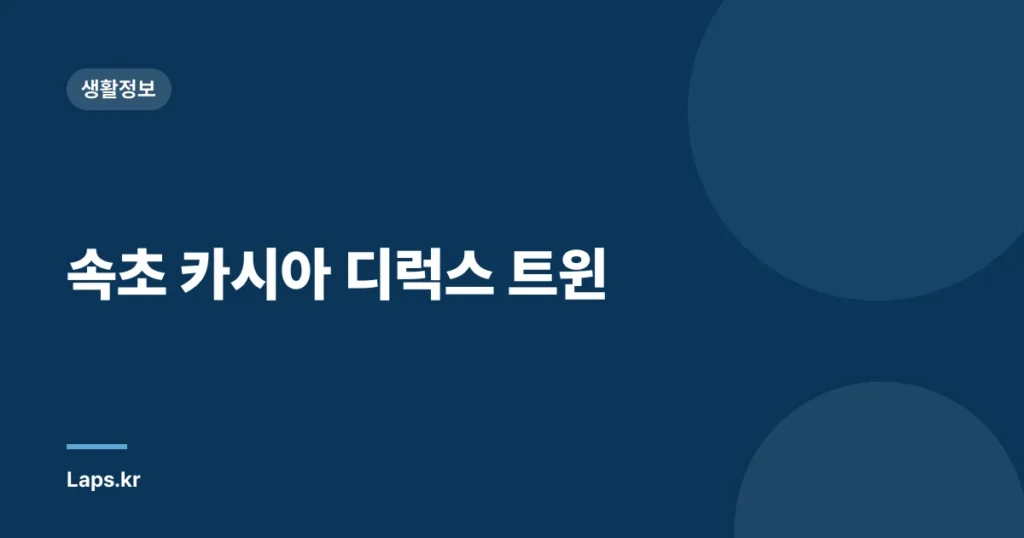 속초 카시아 디럭스 트윈