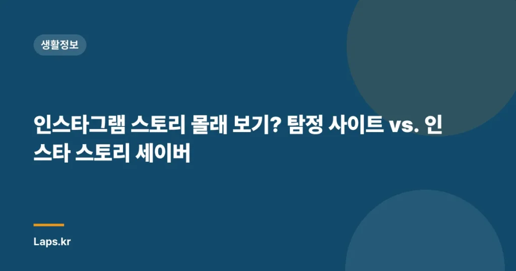 인스타그램 스토리 몰래 보기? 탐정 사이트 vs. 인스타 스토리 세이버