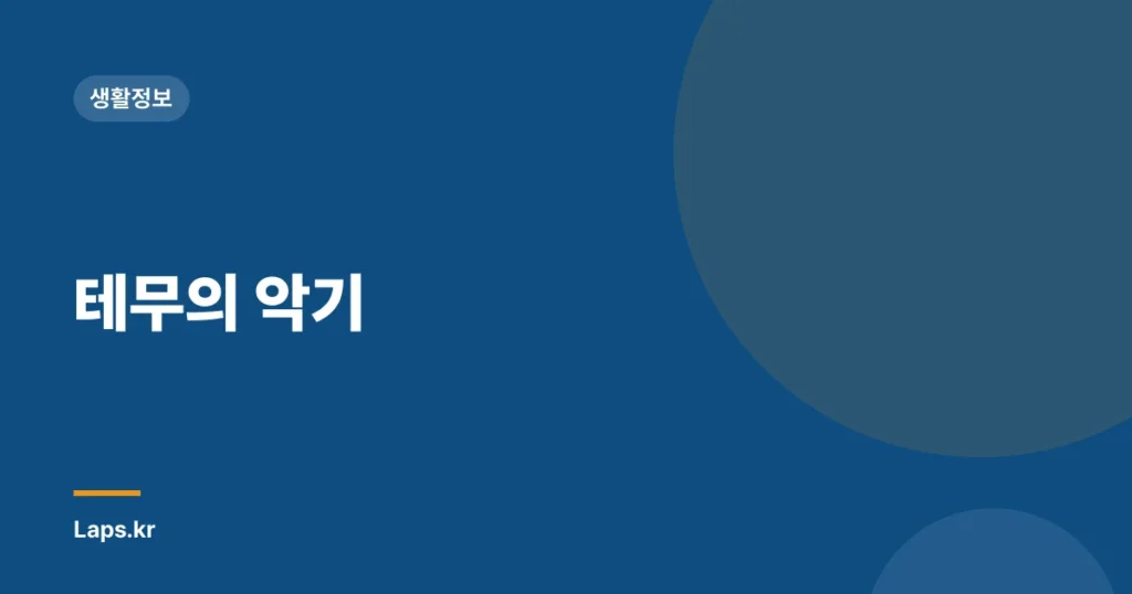 테무의 악기