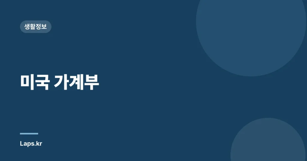 미국 가계부