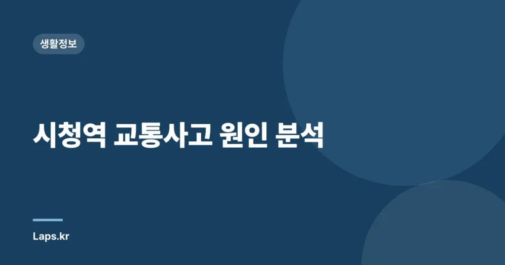 시청역 교통사고 원인 분석