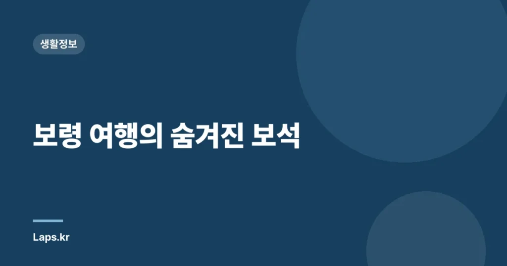보령 여행의 숨겨진 보석