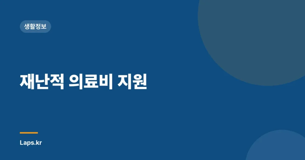 재난적 의료비 지원