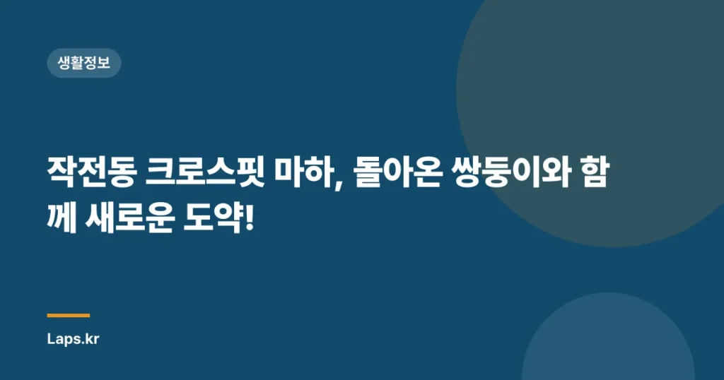 작전동 크로스핏 마하, 돌아온 쌍둥이와 함께 새로운 도약!
