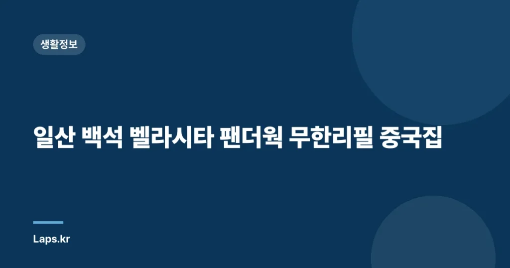 일산 백석 벨라시타 팬더웍 무한리필 중국집