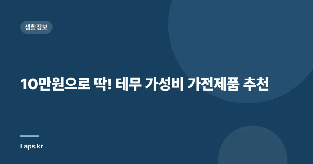 10만원으로 딱! 테무 가성비 가전제품 추천