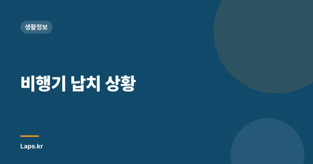 비행기 납치 상황