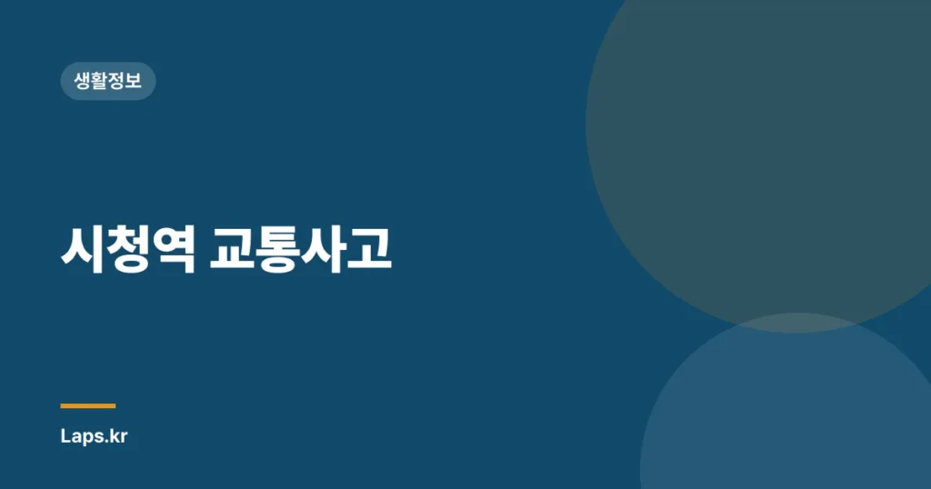 시청역 교통사고