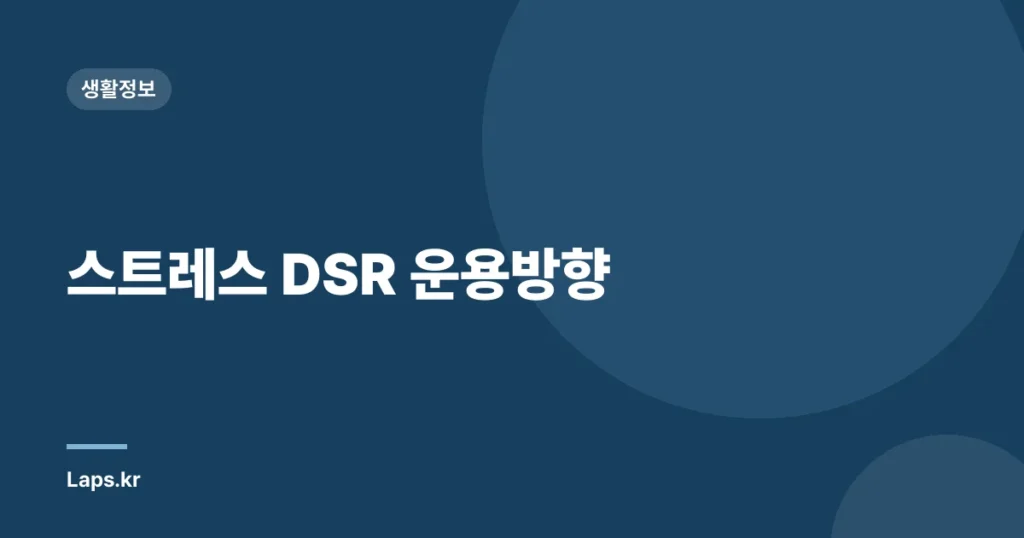 스트레스 DSR 운용방향