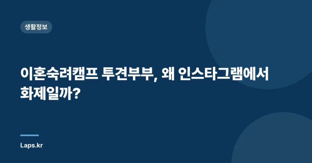 이혼숙려캠프 투견부부, 왜 인스타그램에서 화제일까?