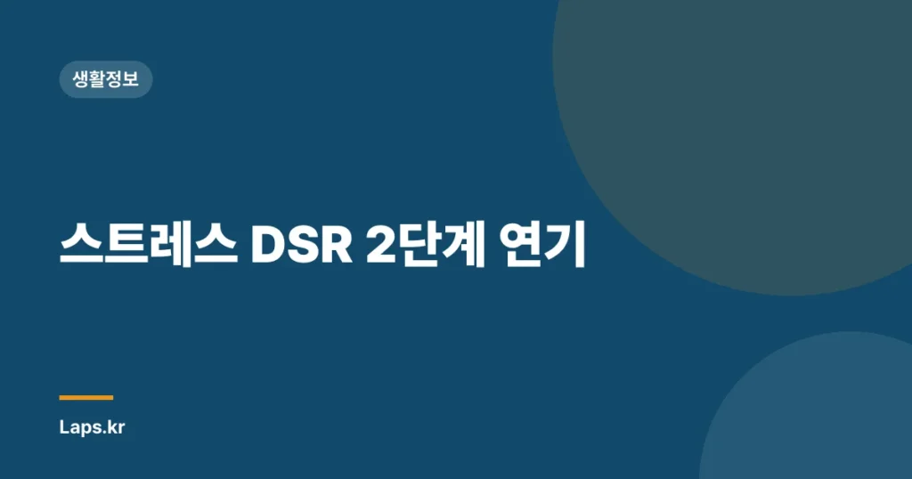 스트레스 DSR 2단계 연기