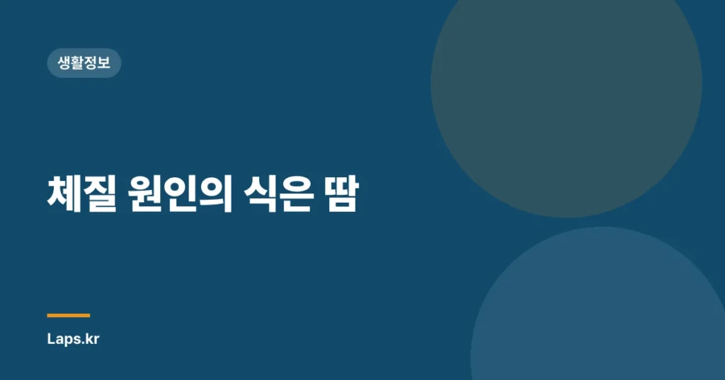 체질 원인의 식은 땀