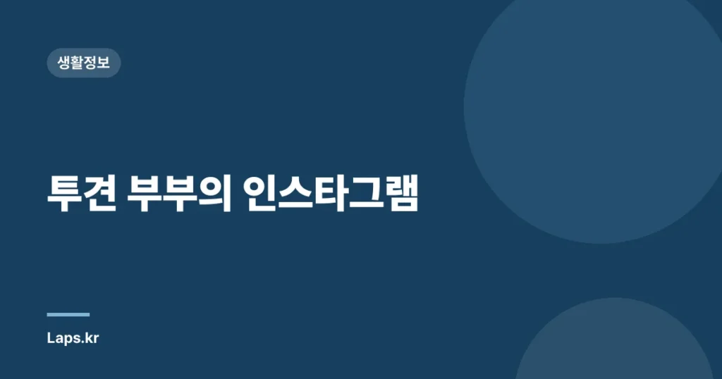 투견 부부의 인스타그램