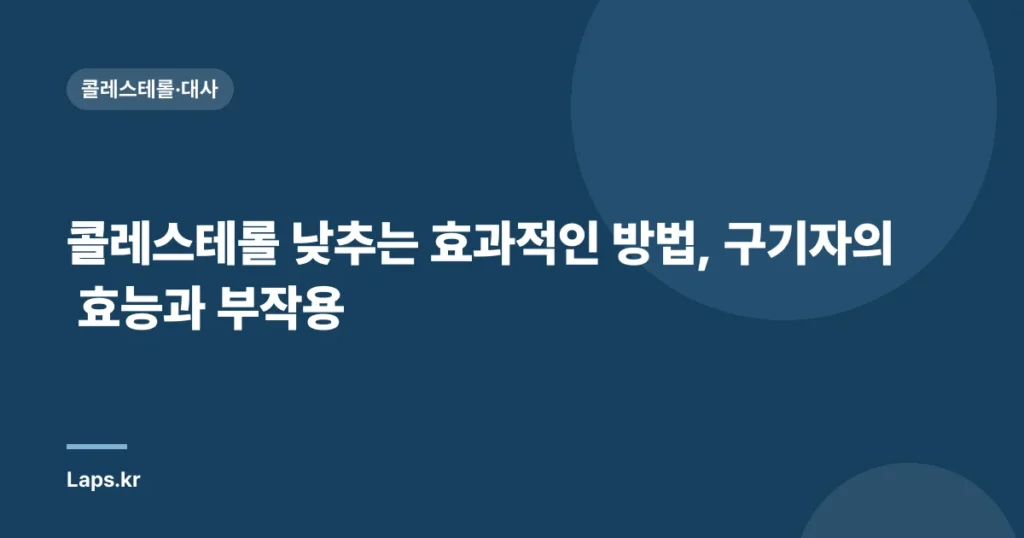 콜레스테롤 낮추는 효과적인 방법, 구기자의 효능과 부작용 | 건강, 혈관 건강, 콜레스테롤 관리
