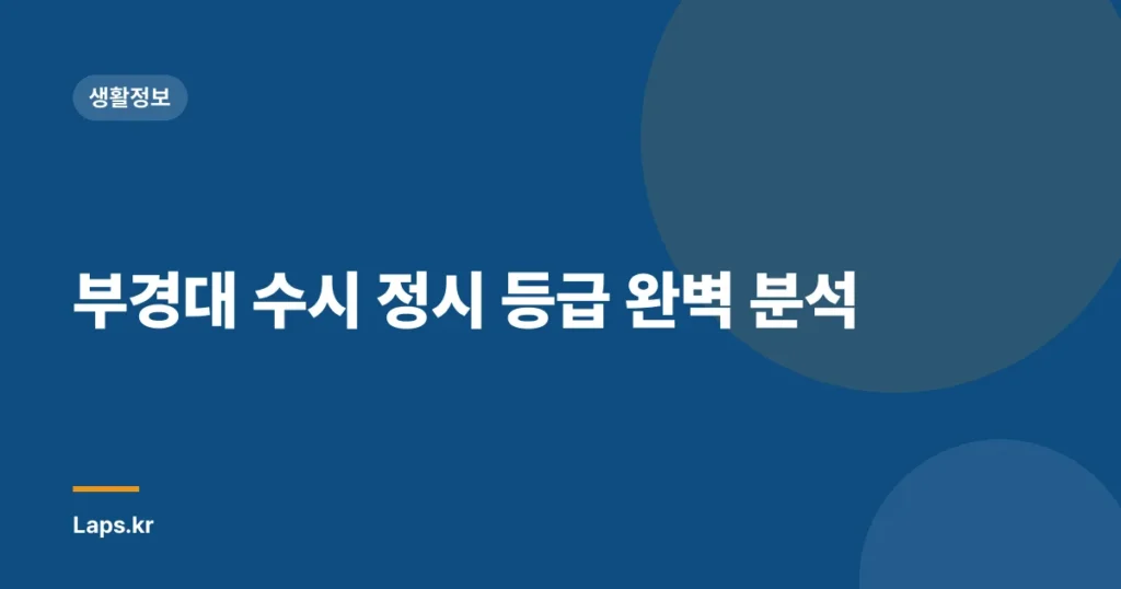 부경대 수시 정시 등급 완벽 분석