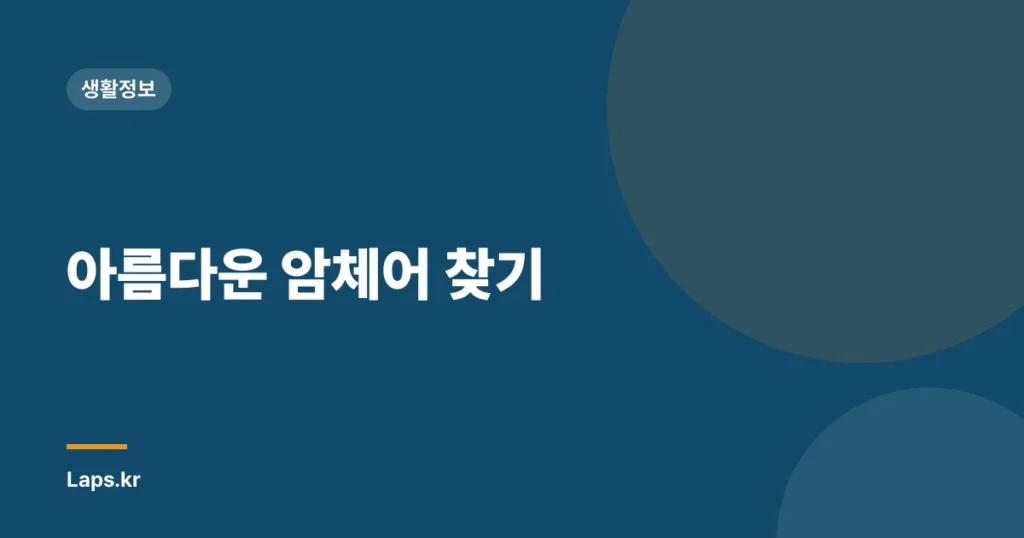 아름다운 암체어 찾기