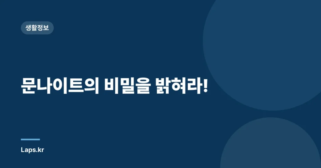문나이트의 비밀을 밝혀라!