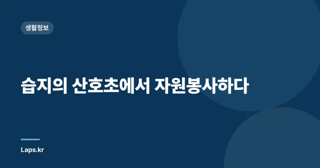 습지의 산호초에서 자원봉사하다