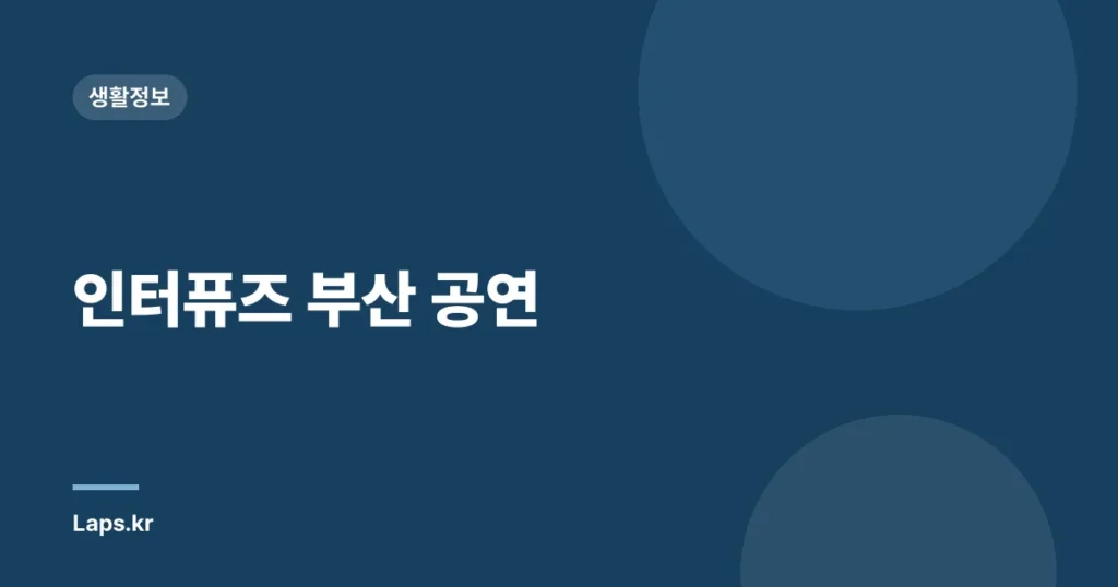 인터퓨즈 부산 공연