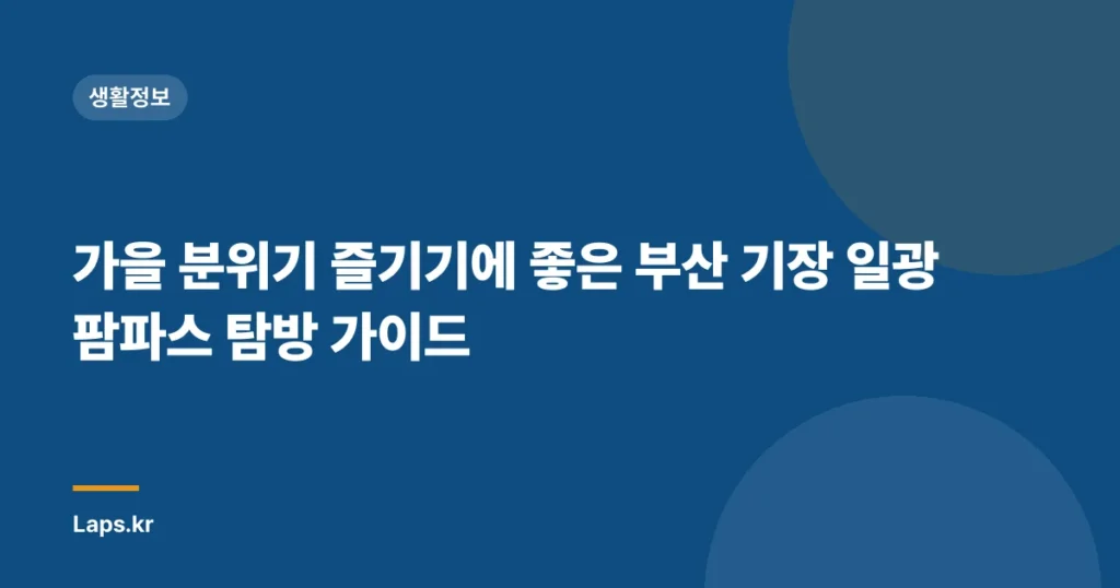 가을 분위기 즐기기에 좋은 부산 기장 일광 팜파스 탐방 가이드